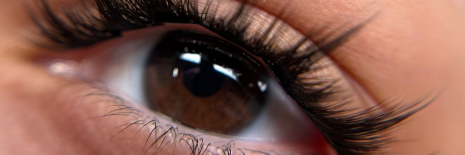 collection-banner-image